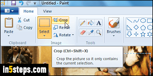 Crop an image in MS Paint - Step 3